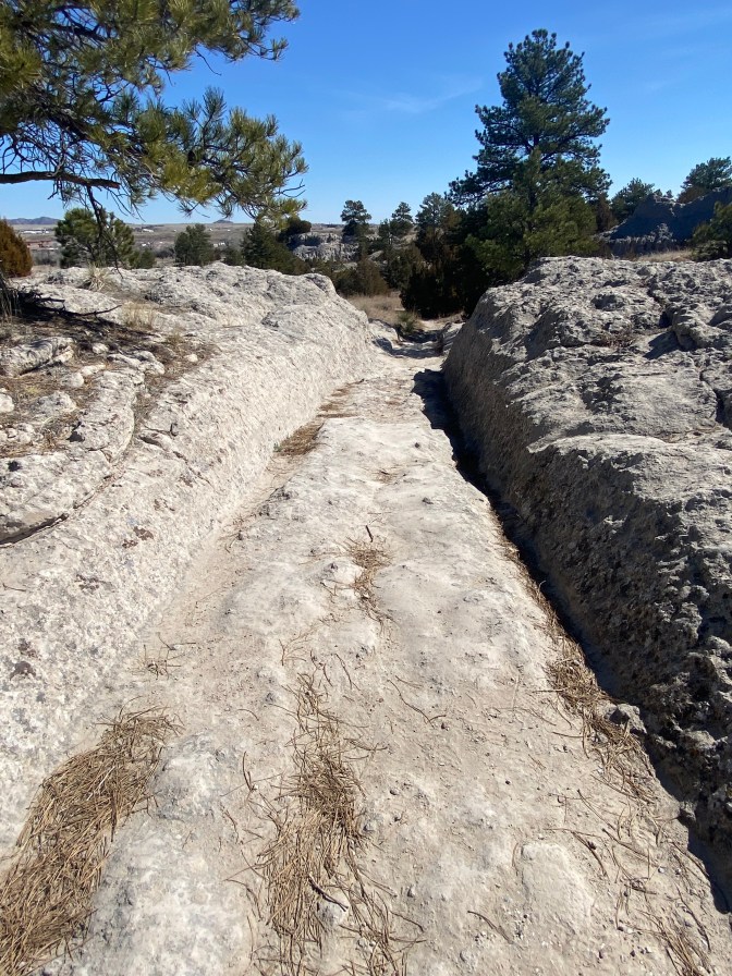 Trail Ruts Indigenous Homelands, Historic Trails, and Amazing Fossils: Exploring ...